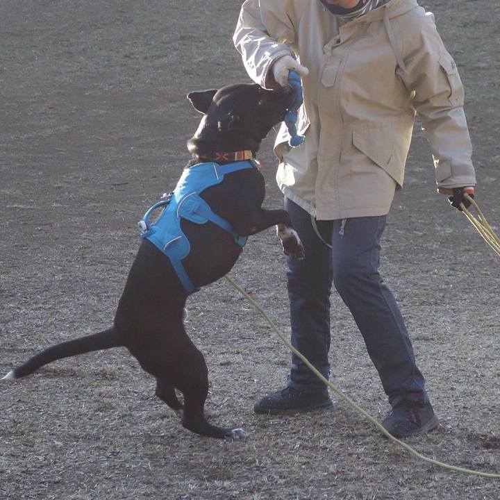 3e223522 34f7 44d2 9049 58e4e5f47b64 1614212737157