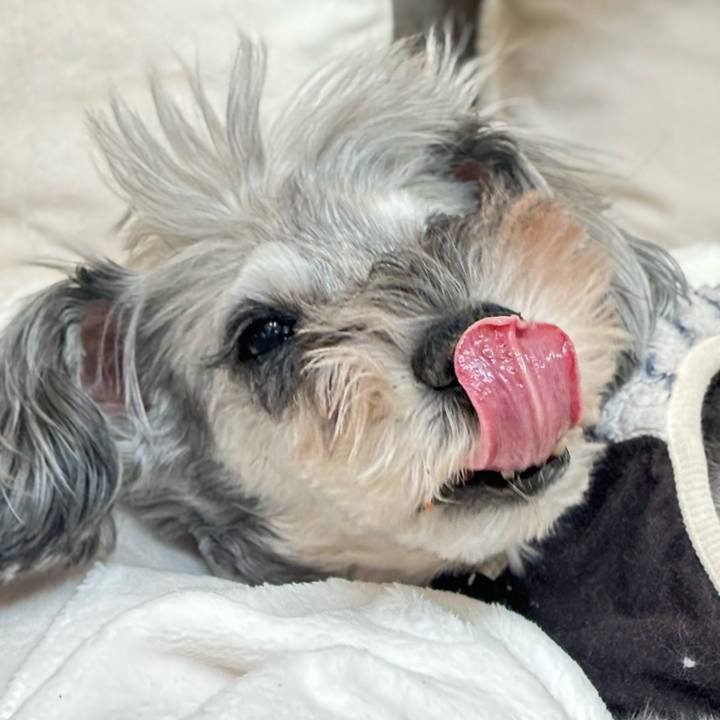 3e223800 5be3 4d0f bb64 7f6c777f6066 1762317157795