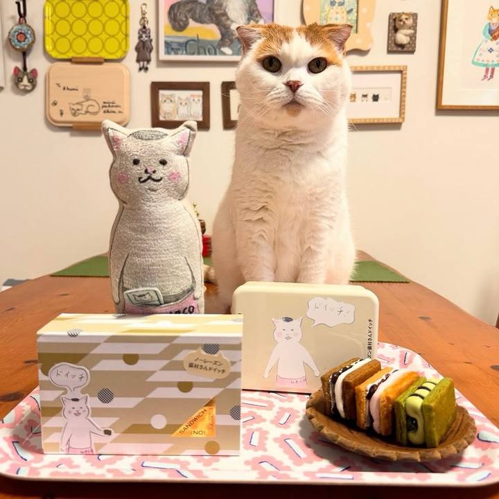 3e224bc4 24bb 4266 8153 b142cb027240 1762695062387