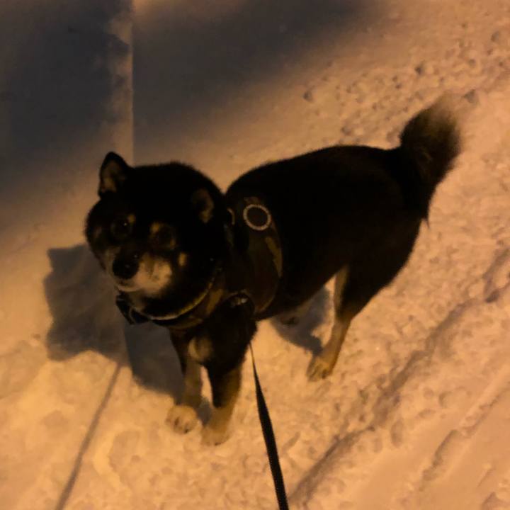 3e226280 a5c3 4541 b23b 98e4ce37fa44 1546556417658