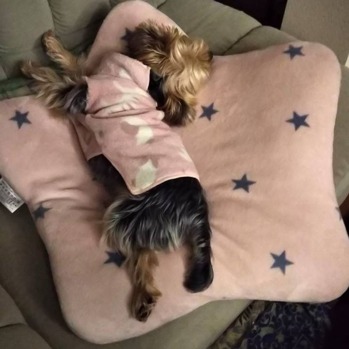 3e226fd0 e16e 4a3f bdb5 bf191e60d685 1611585192080