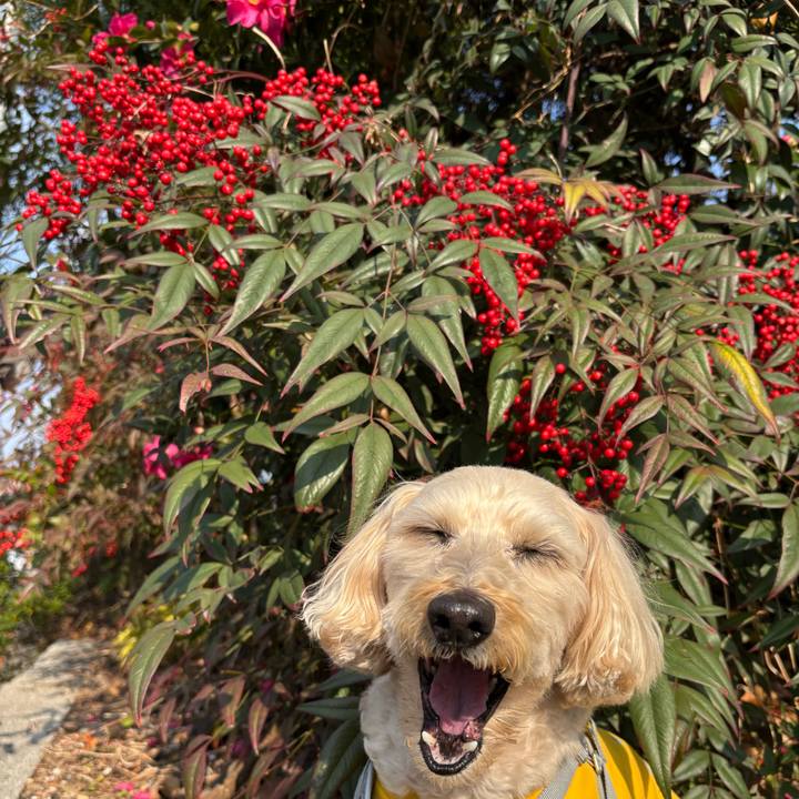 3e22a0fe ea2f 40de 9e33 99aecc63dee7 1767678675588