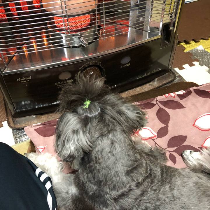 3e22b338 a8fe 46b8 b622 8416704065d1 1513509473951