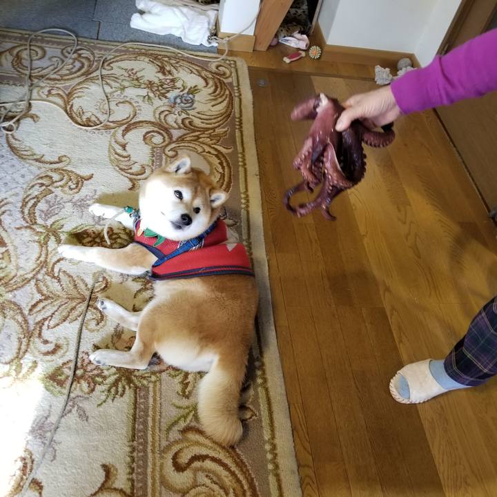 3e22c973 7f84 4b69 a7f8 d14ca5a331a9 1553554979830