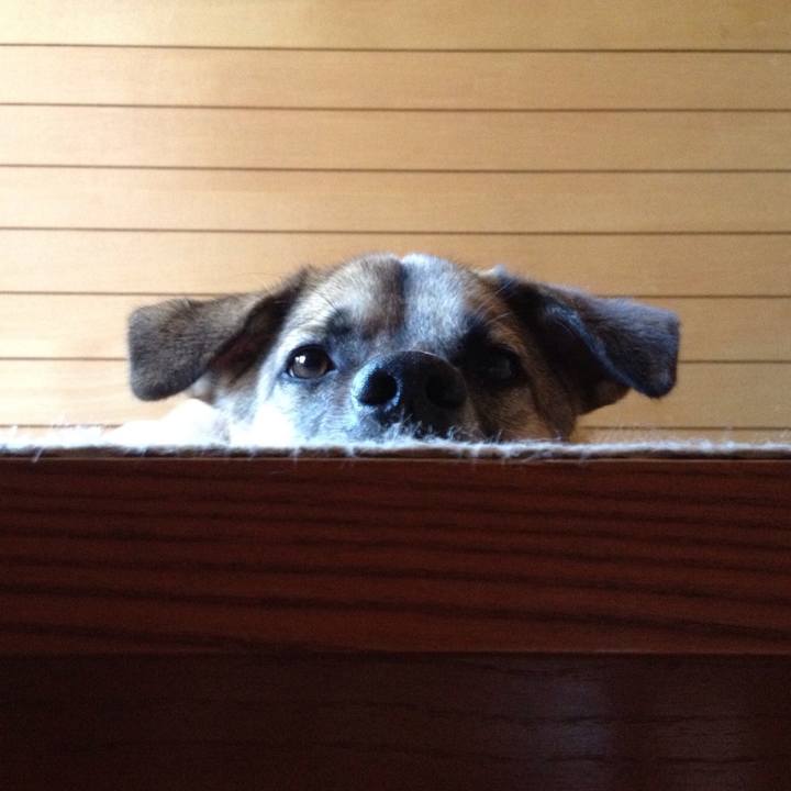 3e22ff26 5636 4dc9 a218 ff00475bcbae 1534755229166