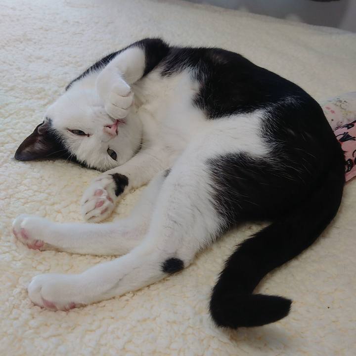 3e232875 ef83 44f1 9a8c 8b7a71b6010a 1578920759604