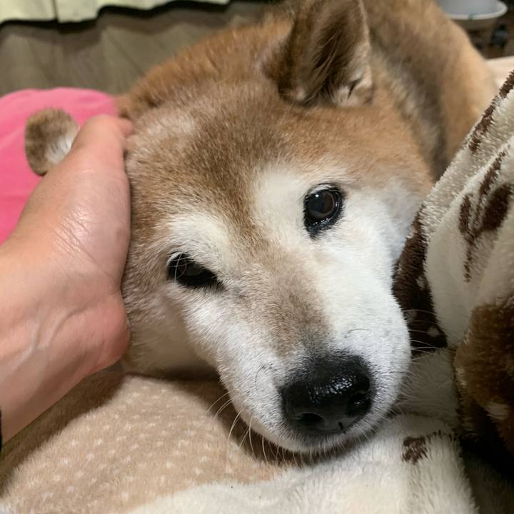 3e234aa9 92f8 4dcb 8f2f b9845269ee02 1573294098236