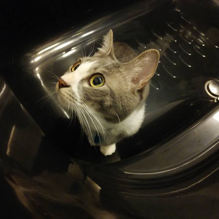 3e234fe1 baa9 41e2 b4ec a6c5f56a38cd 1592659065580