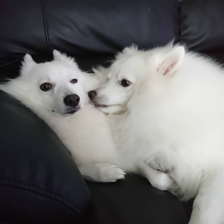 3e23758f 2532 4dcc b3bf df3384fb0641 1564727018822