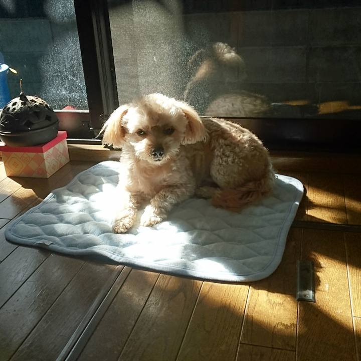 3e23c619 56a3 4c8f ba0c 74acb85cb1a4 1603600509702