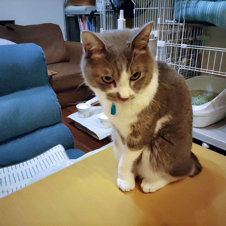 3e2403cd b641 419b ac6f 33fd9d7d68cb 1671966553773