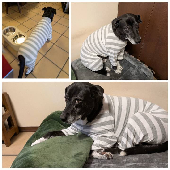 3e241da9 6de1 4cd2 b427 7380f466711c 1768050494265