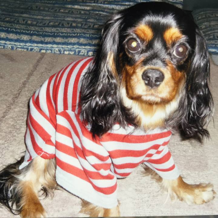 3e242e90 87b6 4347 9971 3332cf0364a5 1516098011766