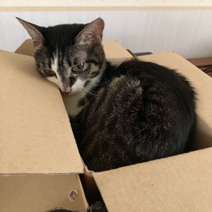 3e248fb2 c741 42ba ac0c 755fb7688cc5 1535984195871