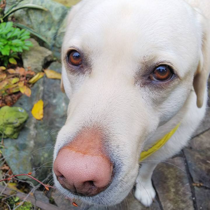 3e2490ad b961 4e6a 951e 86f453d8a9d0 1576903492288