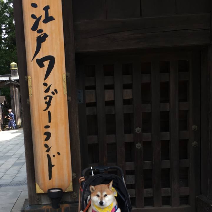 3e2498bb 5576 4663 8384 796195be4508 1570243720910