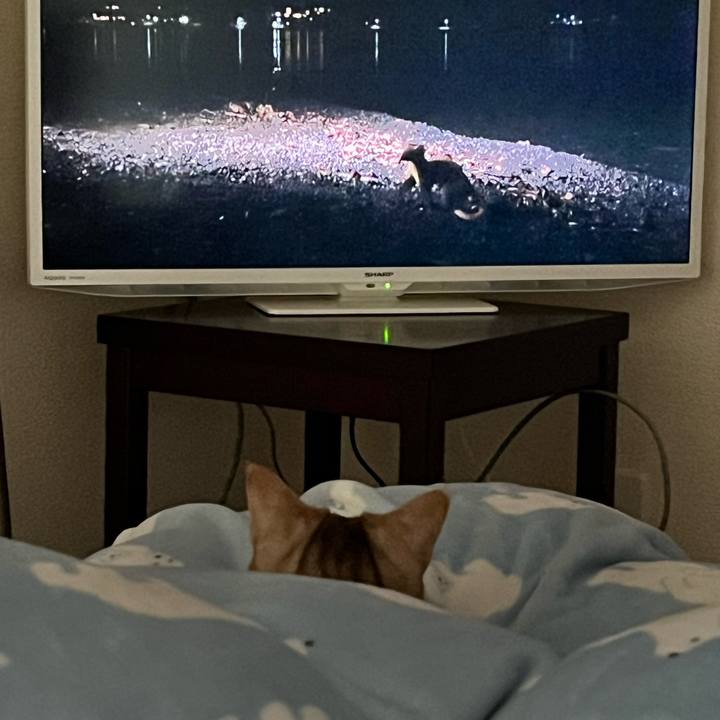 3e24a59d 965a 4eb1 94d1 87fead160670 1674342650131