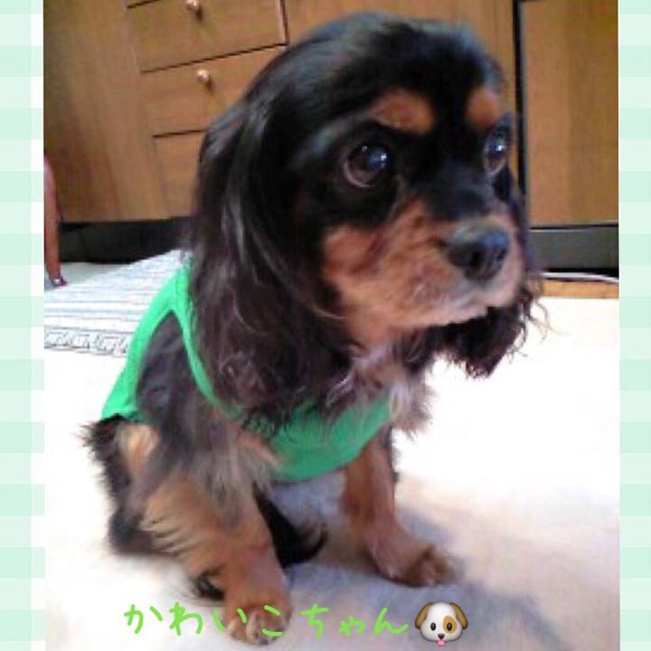 3e24ad71 bb87 4835 b684 614c3f7490e9 1527584670802