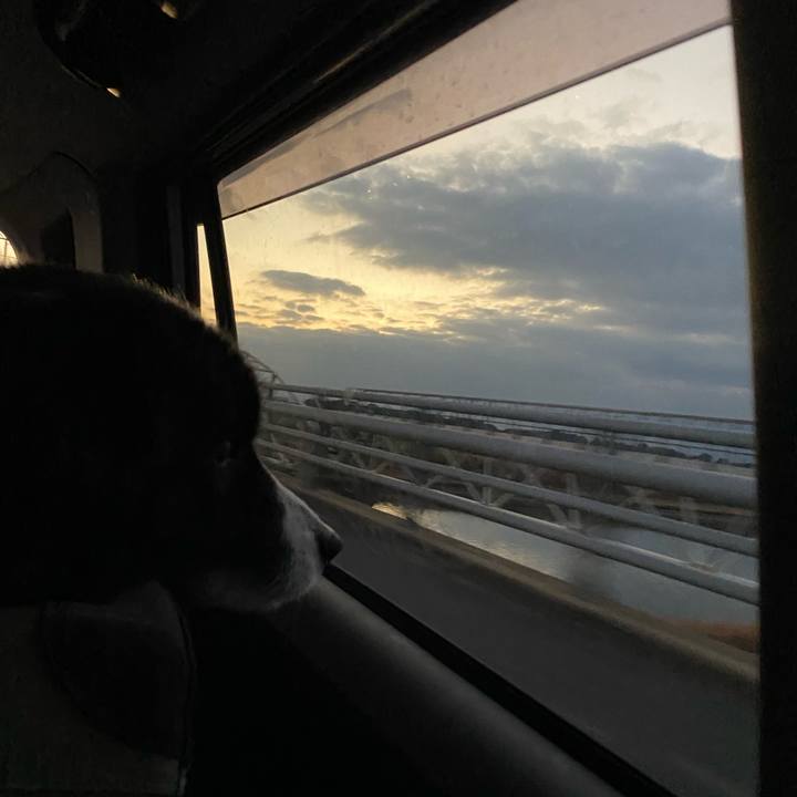 3e24f453 8128 42cb 8326 d1fb96dd8d00 1642457183691