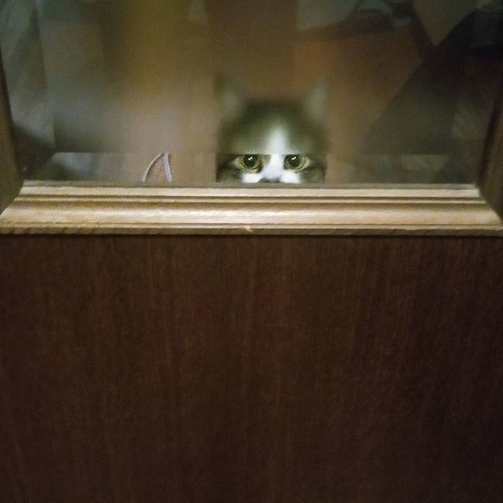 3e251911 16ba 462b 9273 af9cf6041001 1765743899688