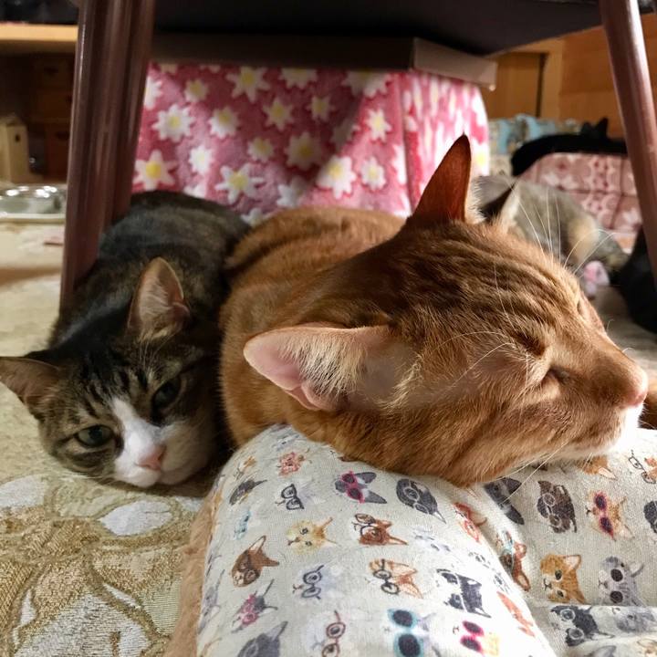 3e253226 a3e7 4eac be37 7b5f3584c672 1552958968473