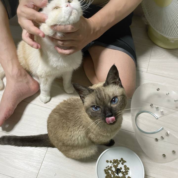 3e258bdc b1ac 47a3 9752 ea3ac38cbff2 1759662340268