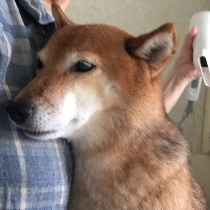 3e25a98f ee4c 4901 be89 f064c98b2064 1556423292710