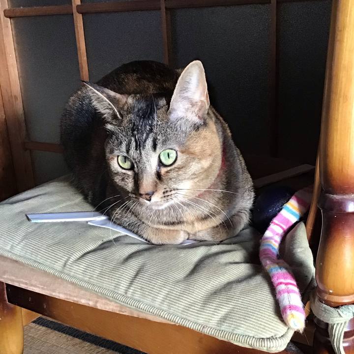 3e25b264 315a 4d6a 975d c89944f249a6 1641685219779