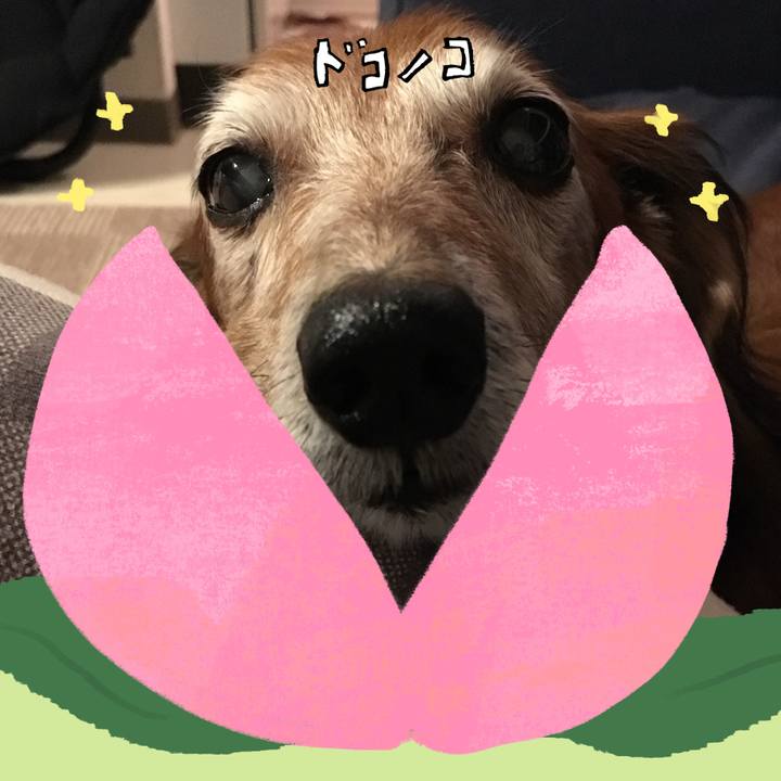 3e25b970 22b3 4f85 b00a fbc3d0b64f1e 1771838858305