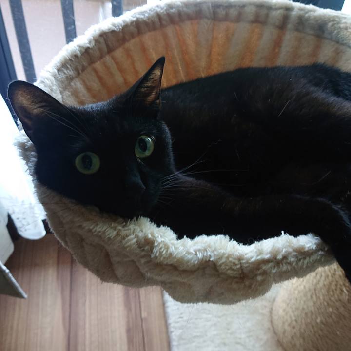 3e25c40d 1c9d 4b84 ba1b 438942dd63cd 1726276671334