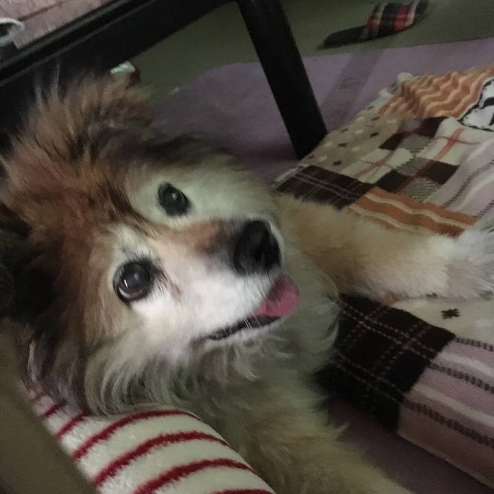 3e25c464 7306 45bb acde f639ed30e10b 1556753399140