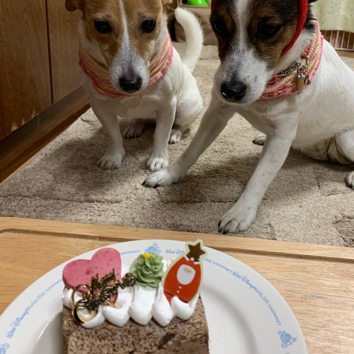 3e260460 88c2 4c4d b163 37c99a961333 1608804707264