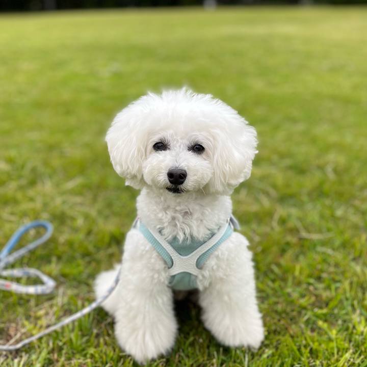 3e260664 099e 4bb8 84e6 2114105f2a7f 1730612434772