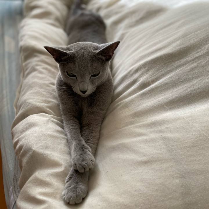 3e262be6 63e5 485e 8c4a ab98dd7627a2 1701393765623