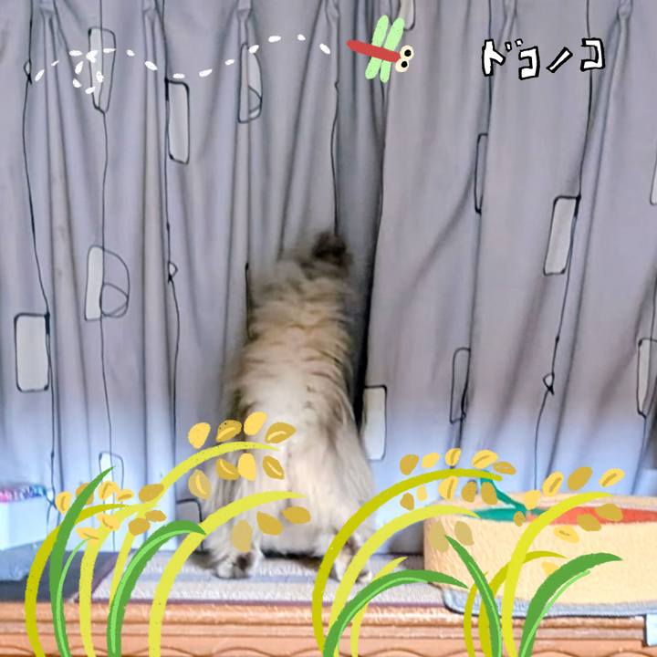 3e265a5f 71b2 4760 8859 059fb7576218 1762298222316