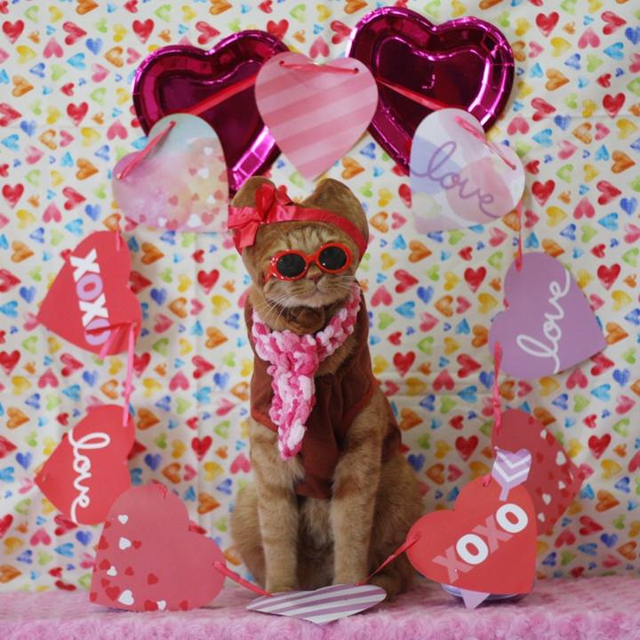 3e265ed7 a676 4ba1 bc44 81f8c0bb5262 1676092538151