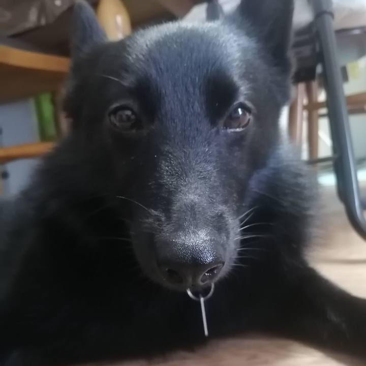 3e26655e 714a 469b b94d 76de08365396 1625961683666