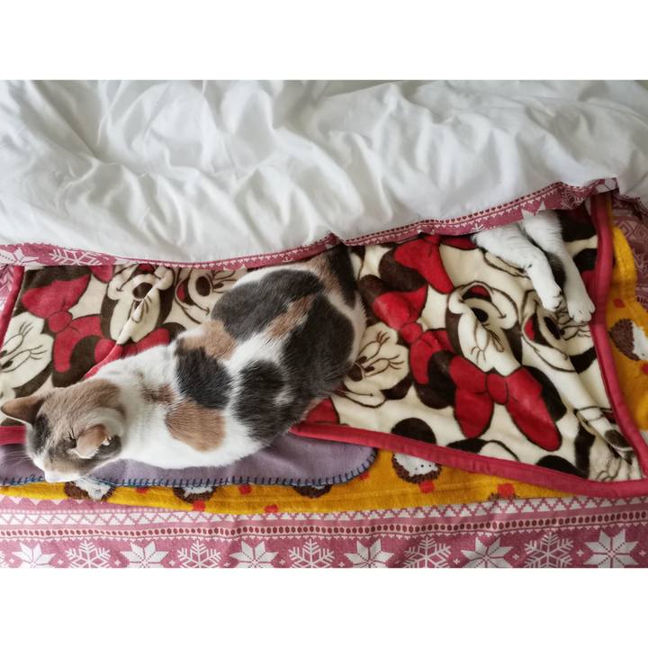 3e266765 930c 4b13 a24d 4b49dcd65e92 1676434784813