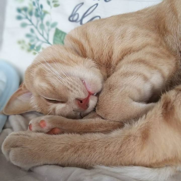 3e266be4 8f24 4ab2 8c81 af26273ea119 1569197198721