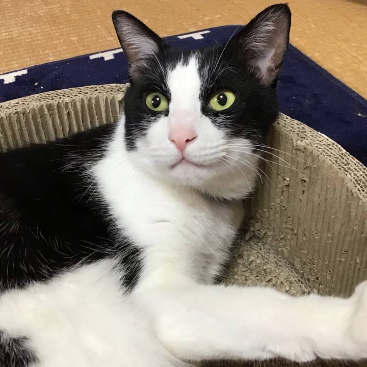 3e268a06 3612 46ec 9418 eb87aed15452 1716179132104