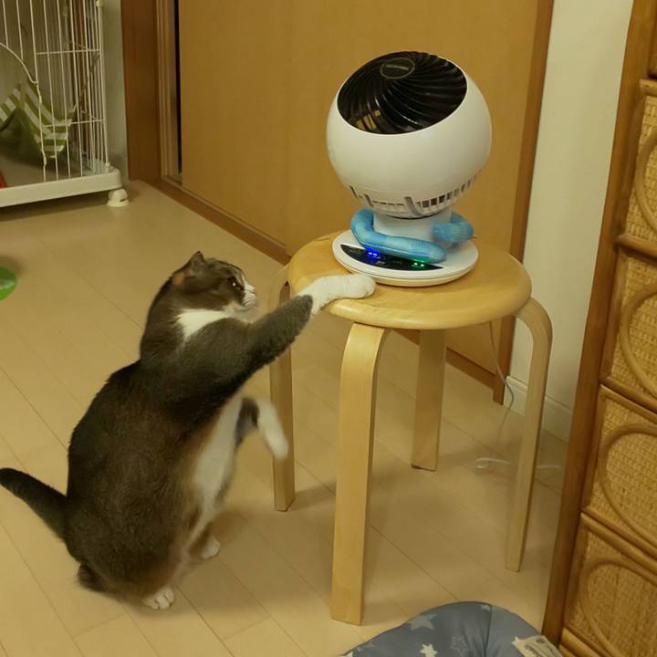 3e26e963 87c2 4973 b3b4 1894335fec6d 1600294639423