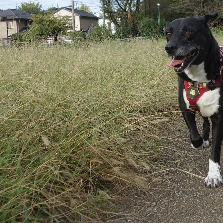 3e272189 569c 4560 9692 f80fd560c448 1696637939987