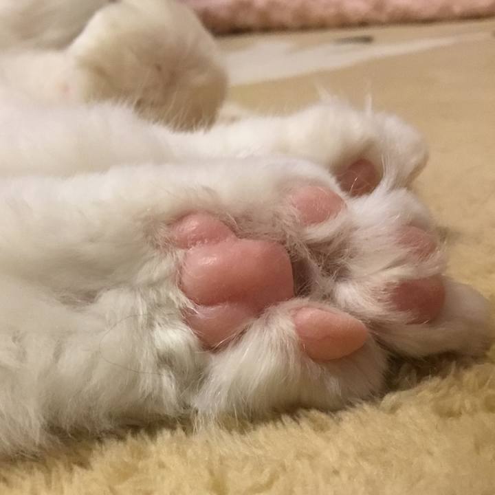 3e272593 74ea 46c2 a2d0 2d2c13c302ca 1574248079624