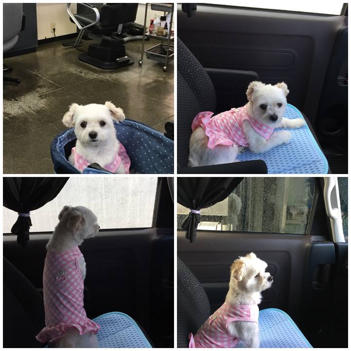 3e275498 7885 4f98 9c48 f1c9a6415bca 1536130030022