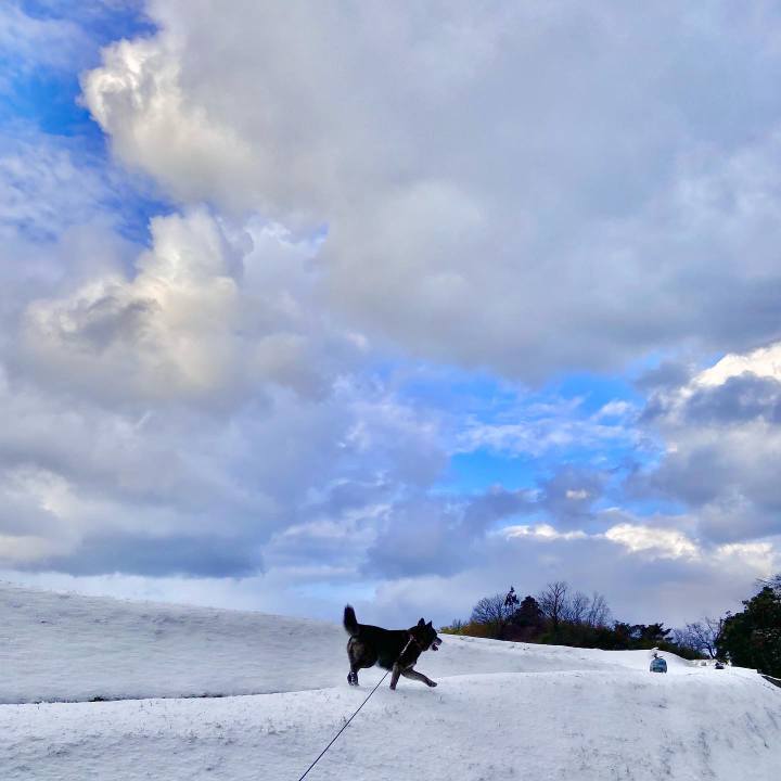 3e275cf8 03d1 4556 92ef 18be0aaa2b57 1645662803377