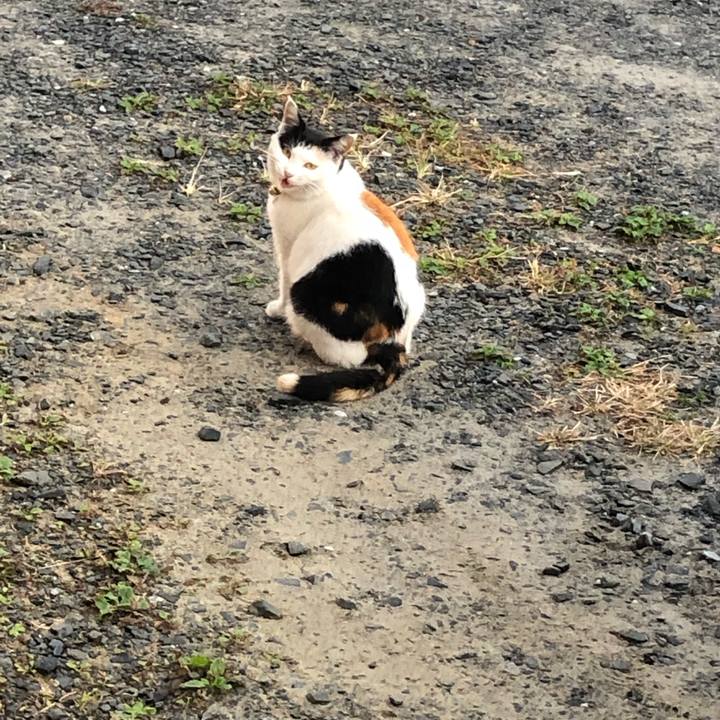 3e277465 c5d3 4aec bb72 97be255ba6a2 1605738723538