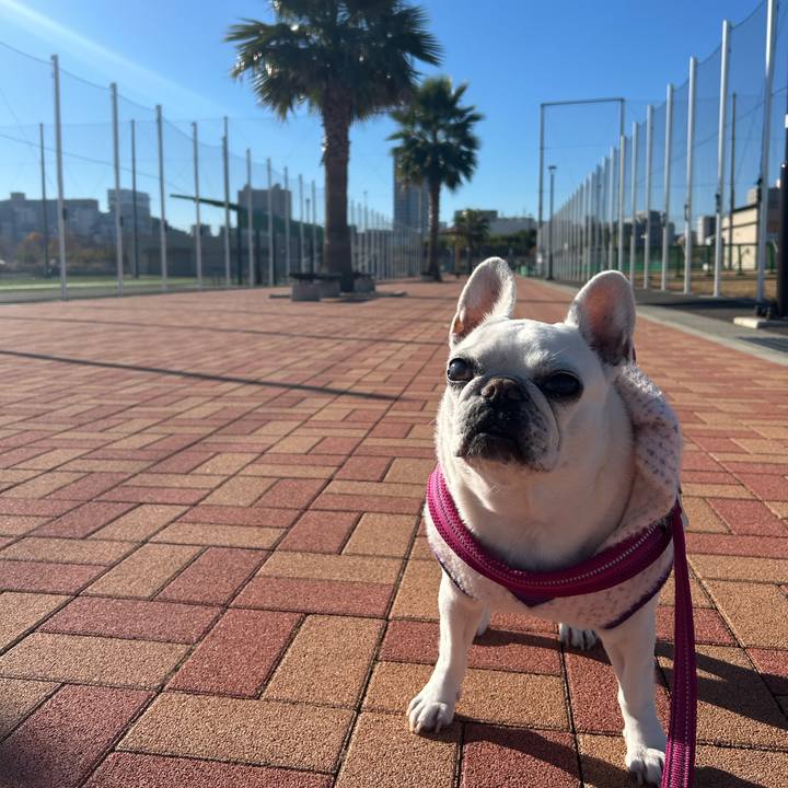 3e278c6e 4d20 4645 9fa8 db3b1892df3a 1733486657985