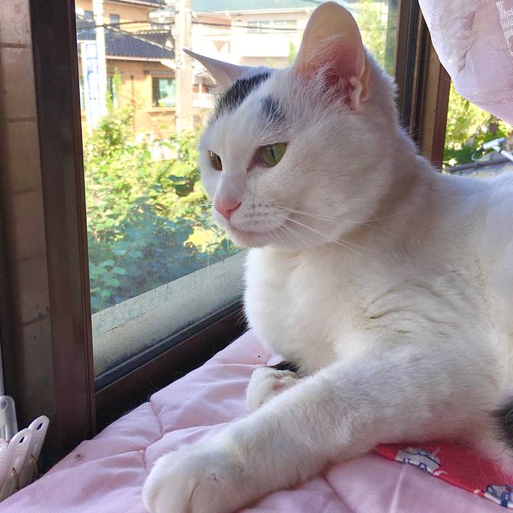 3e278cda 40ab 4d10 b10a b09e6f467b1c 1592465106461