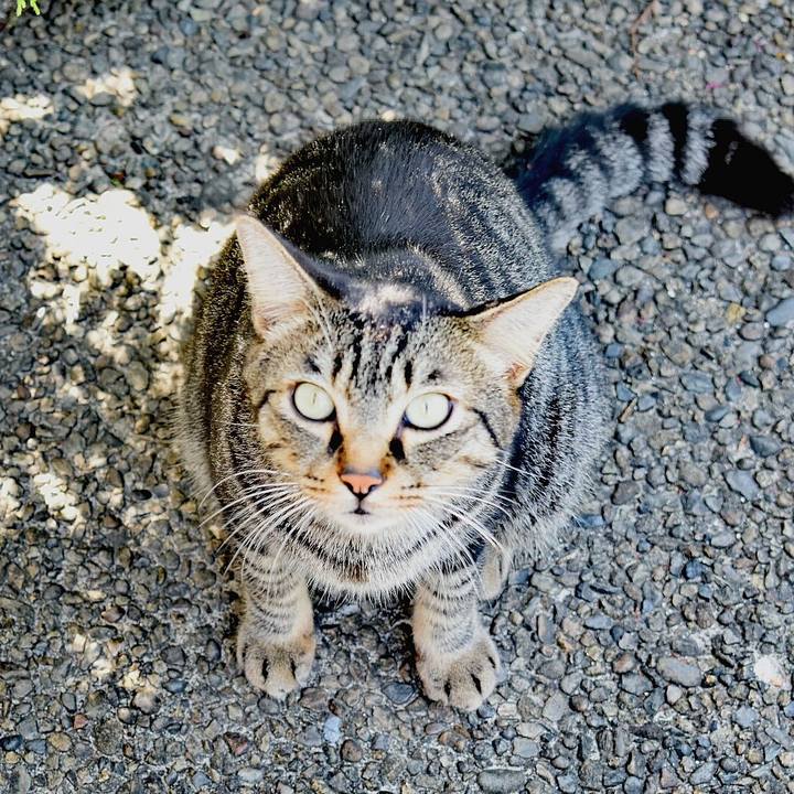 3e27a2cb 4059 4d51 844d 99ee4191862f 1533948412356