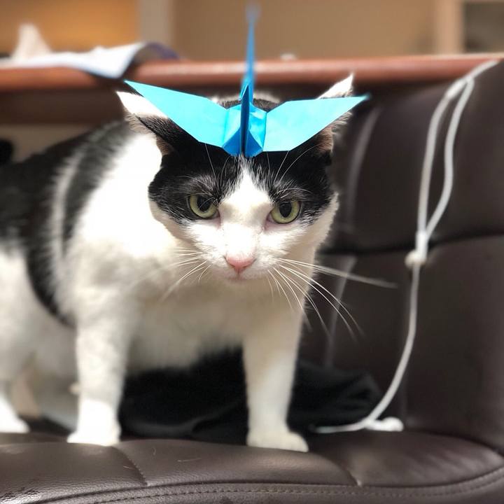 3e27c5c0 0afa 470f bf00 872e7efb8da5 1515927996363